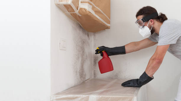 Professional Crawl Space Mold Remediation technician working in Melrose, MA