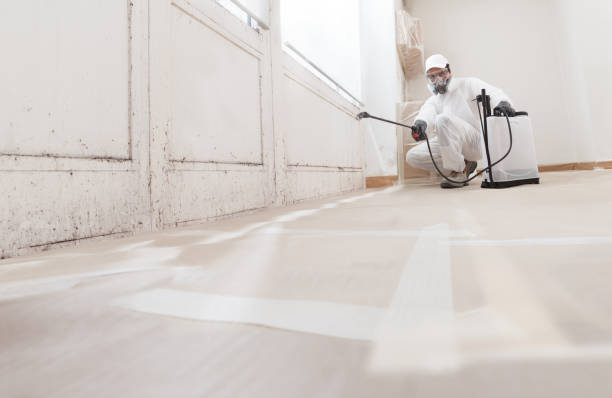 24/7 Emergency Crawl Space Mold Remediation experts in Melrose, MA