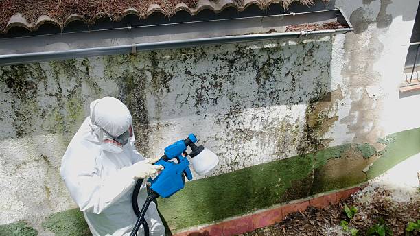 Top rated local Crawl Space Mold Remediation specialists in Melrose, MA